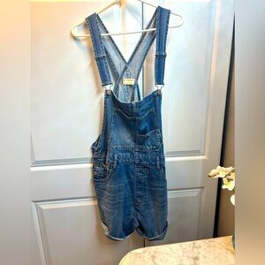 Free People Ziggy Denim Shortalls